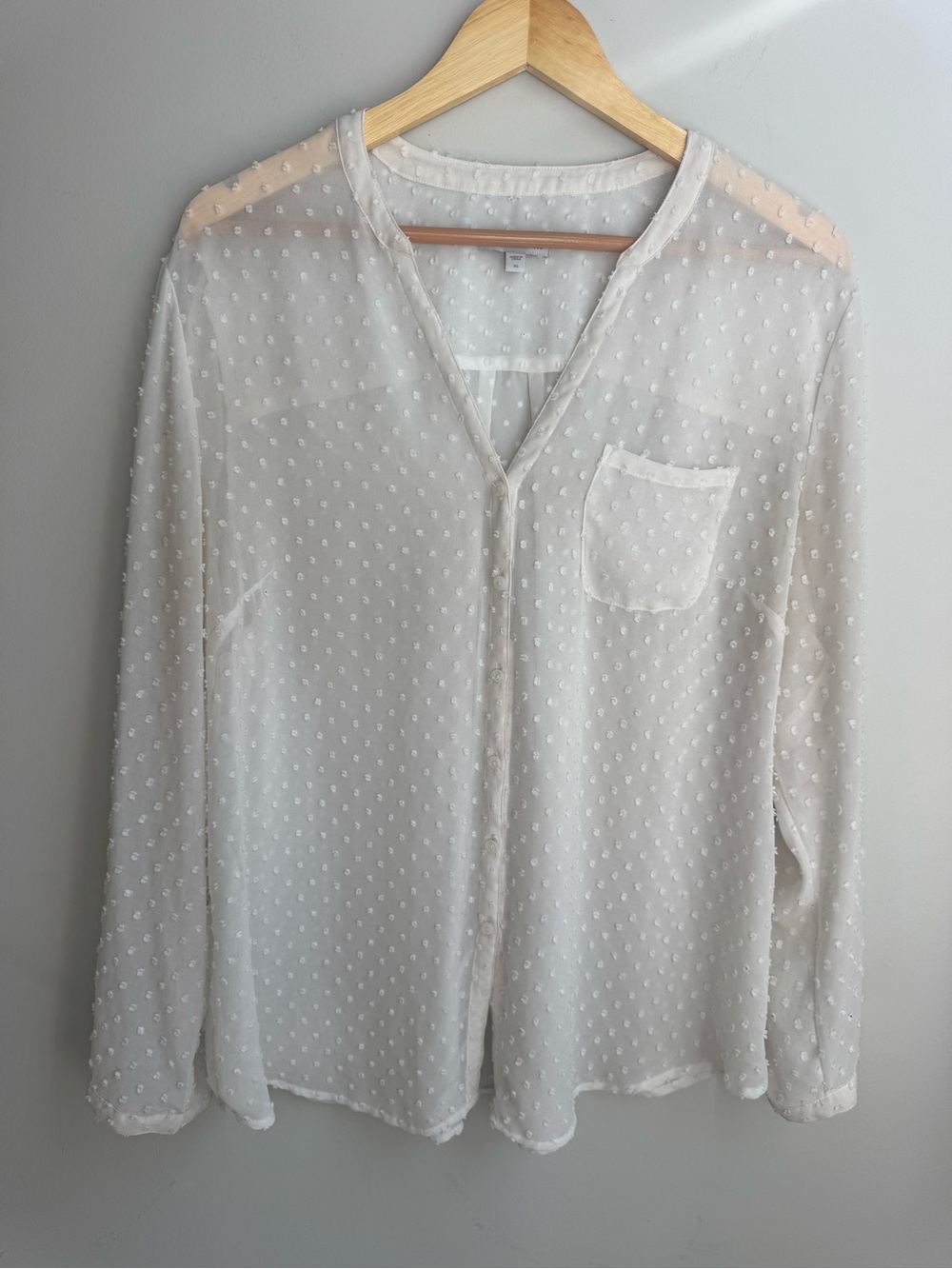 GAP White Swiss Dot Sheer V-Neck Blouse
